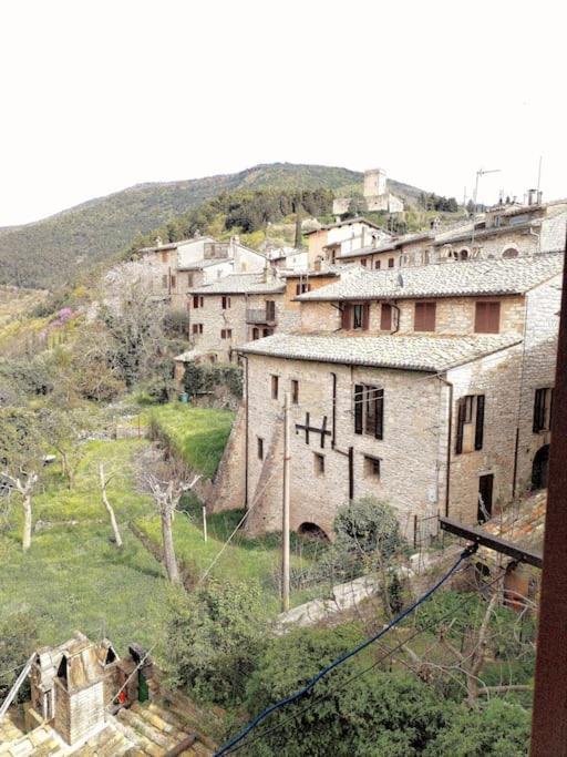 Appartamento Nonna Milde Ασίζη Εξωτερικό φωτογραφία
