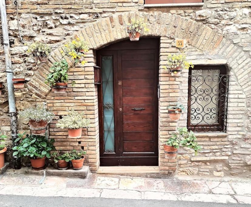 Appartamento Nonna Milde Ασίζη Εξωτερικό φωτογραφία