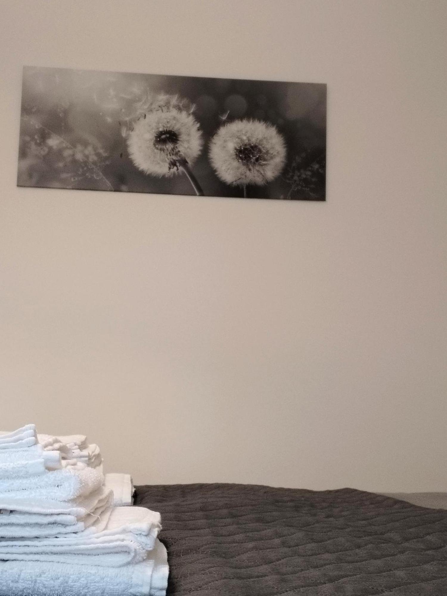 Appartamento Nonna Milde Ασίζη Εξωτερικό φωτογραφία